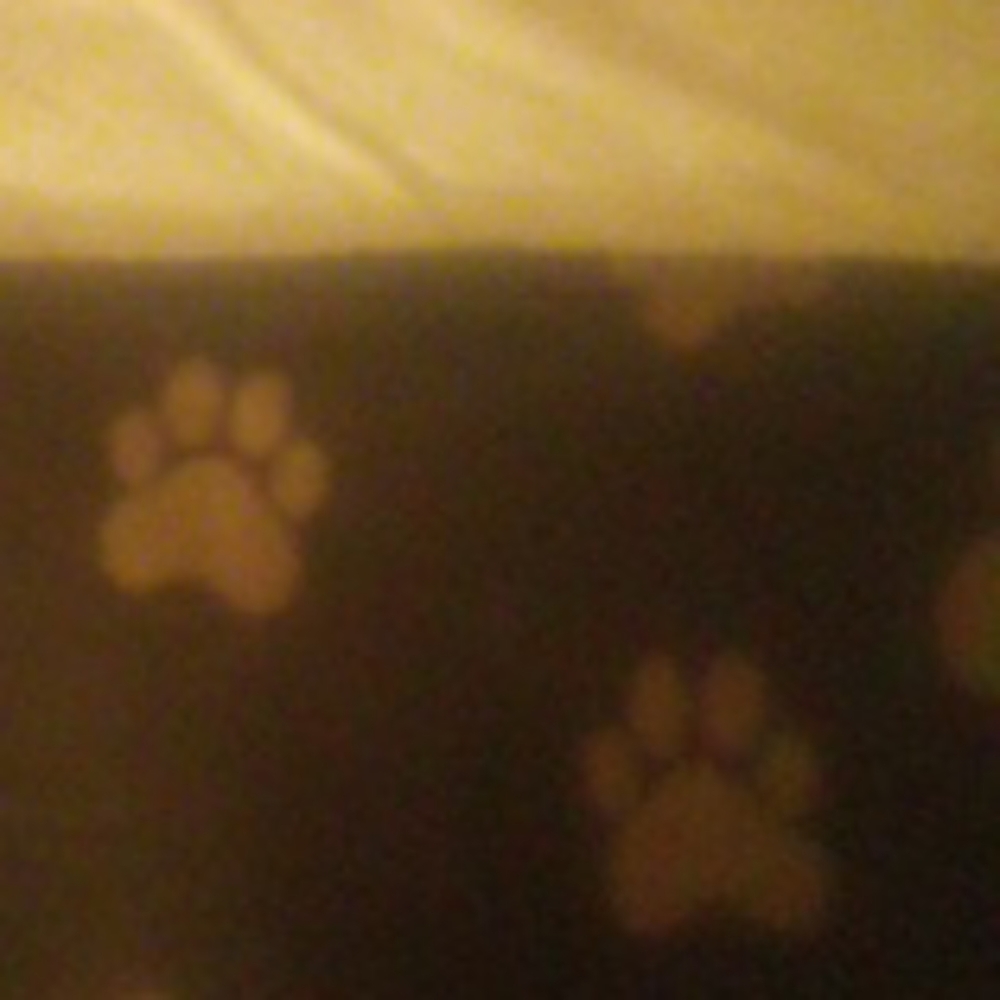 Throw - Picture 2 of 2